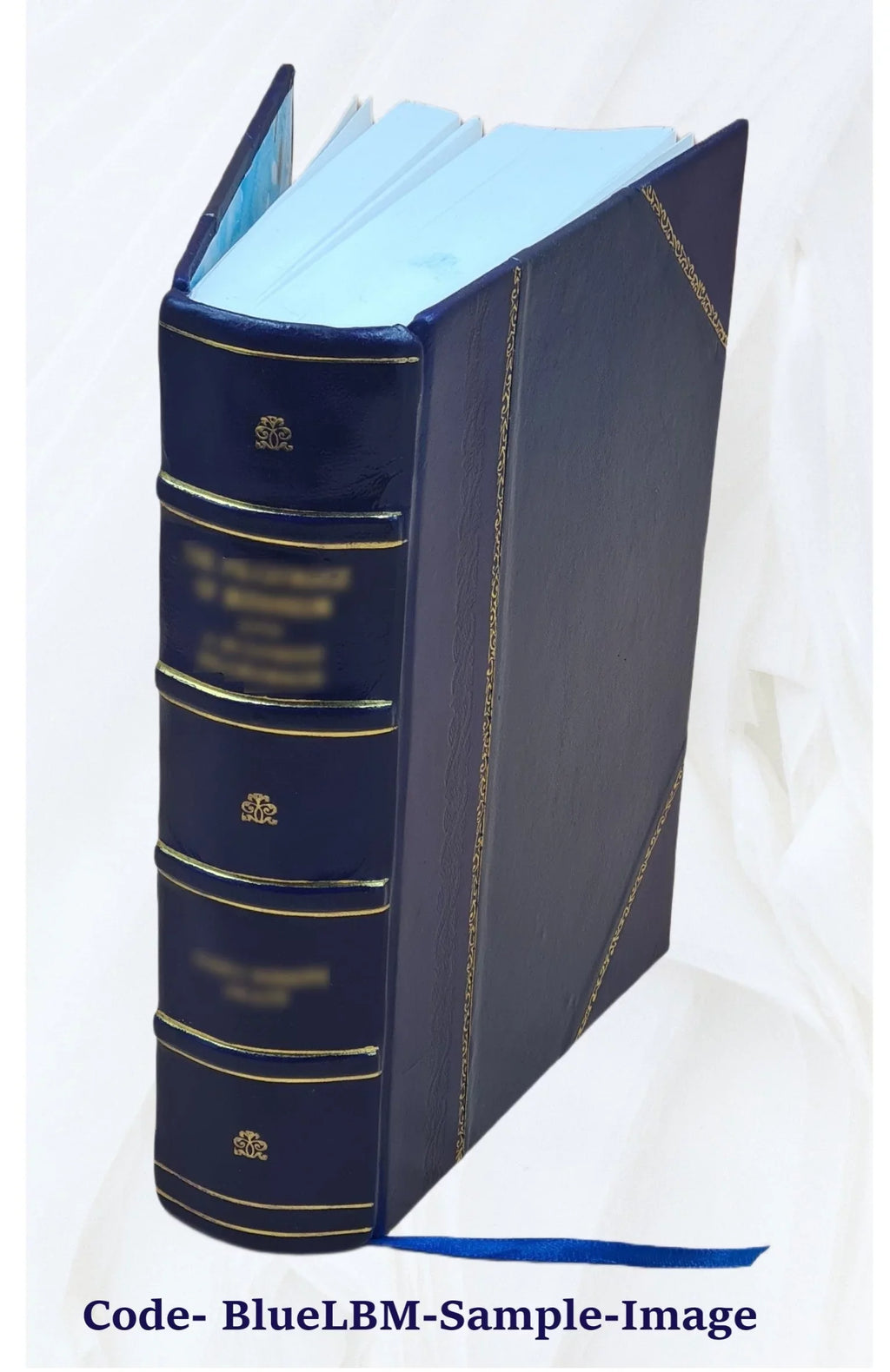 FSizeI Conversational Finnish Sizetudent Text [Leather Bound]