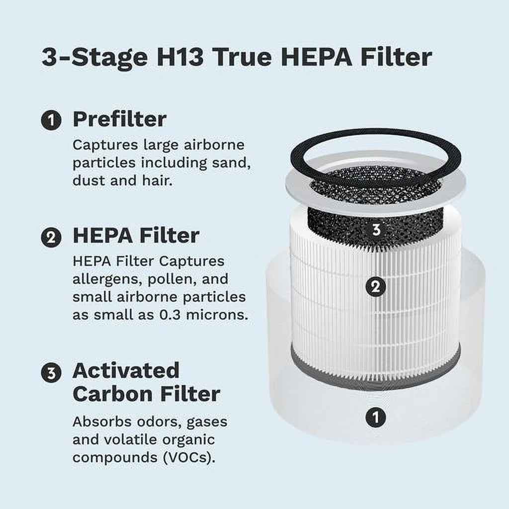 DH Lifelabs Sizeciaire + HEPA Air Purifier | Ions Actively Clean & Deodorize Air | Eliminates 99.97% of Bacteria & Viruses | H13 HEPA Purifier Filter for Allergies Pets | Large Room Home | Ivory