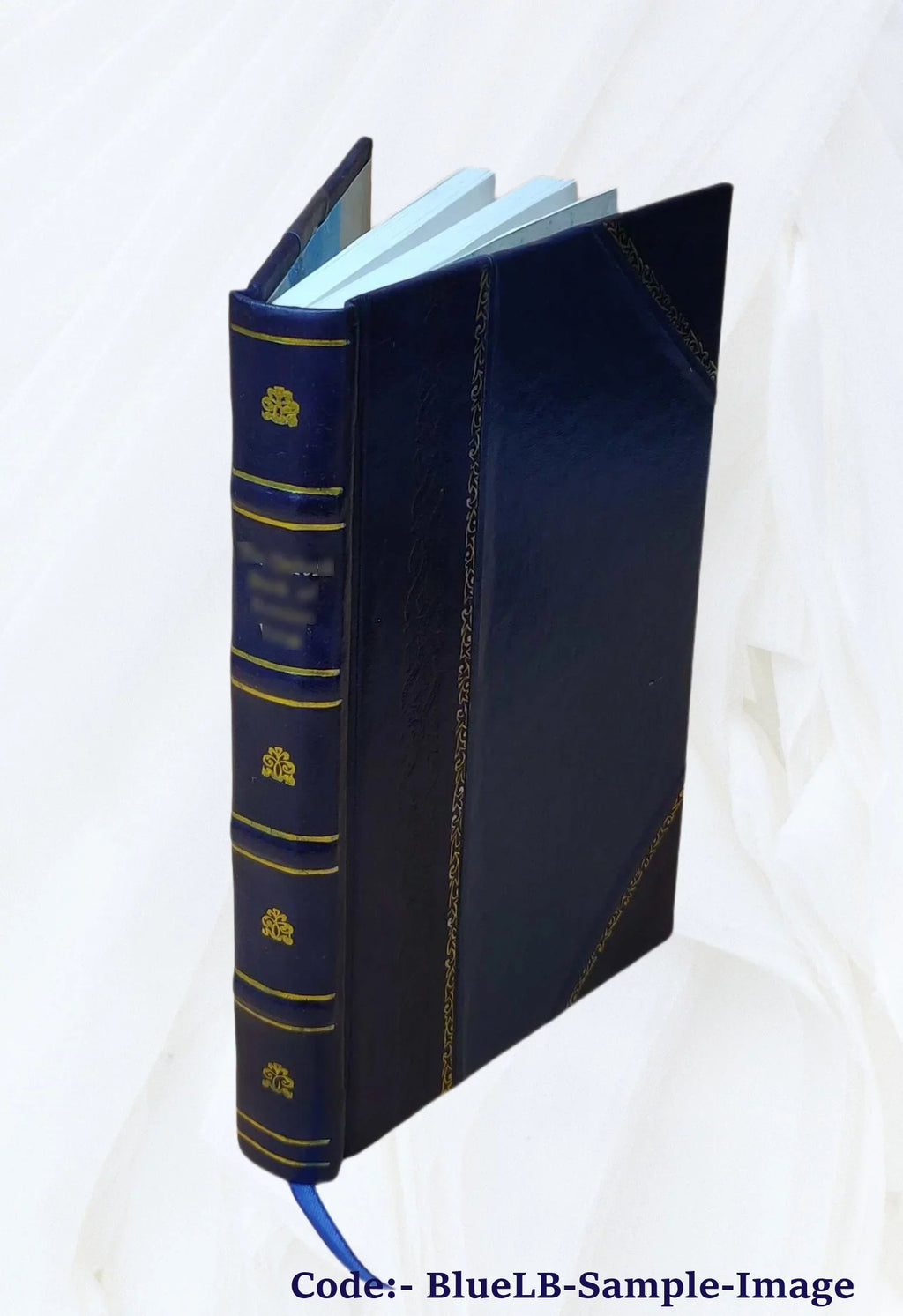 Philippi Bonamicii de claris pontificiarum epistolarum scriptoribus 1770 [Leather Bound]