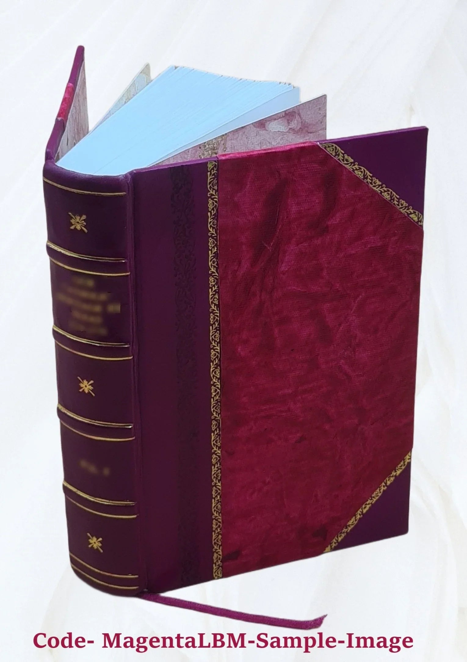 FSizeI Conversational Finnish Sizetudent Text [Leather Bound]