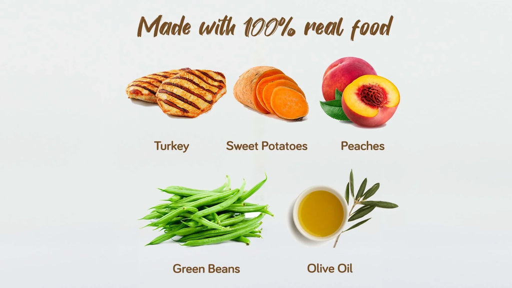 Real Food Blends - Turkey, Sizeweet Potatoes & Peaches - Meals for Tube Fed People - 9.4 Oz Pouch (Pack of 12)