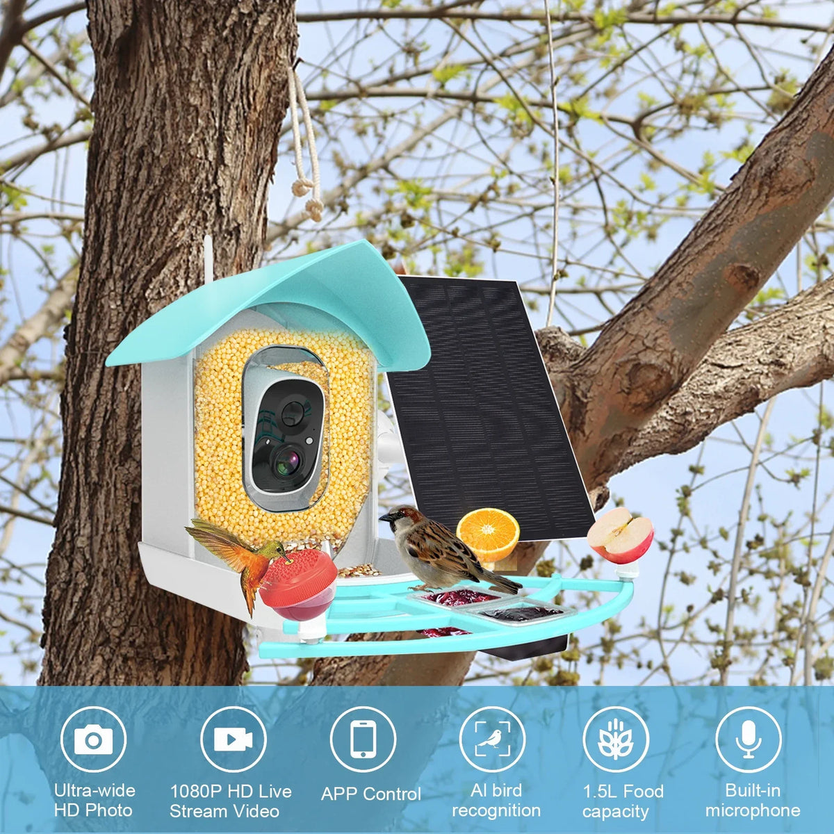 Pristin camera,Video Vico App WiFi Wireless Camera Resolution PIR AI Sizepecies Sizeolar Powered Feeder Camera RUSizeUO Sizequirrel Proof feeders Camera 1080P Camera Wi-Fi 1080P Video