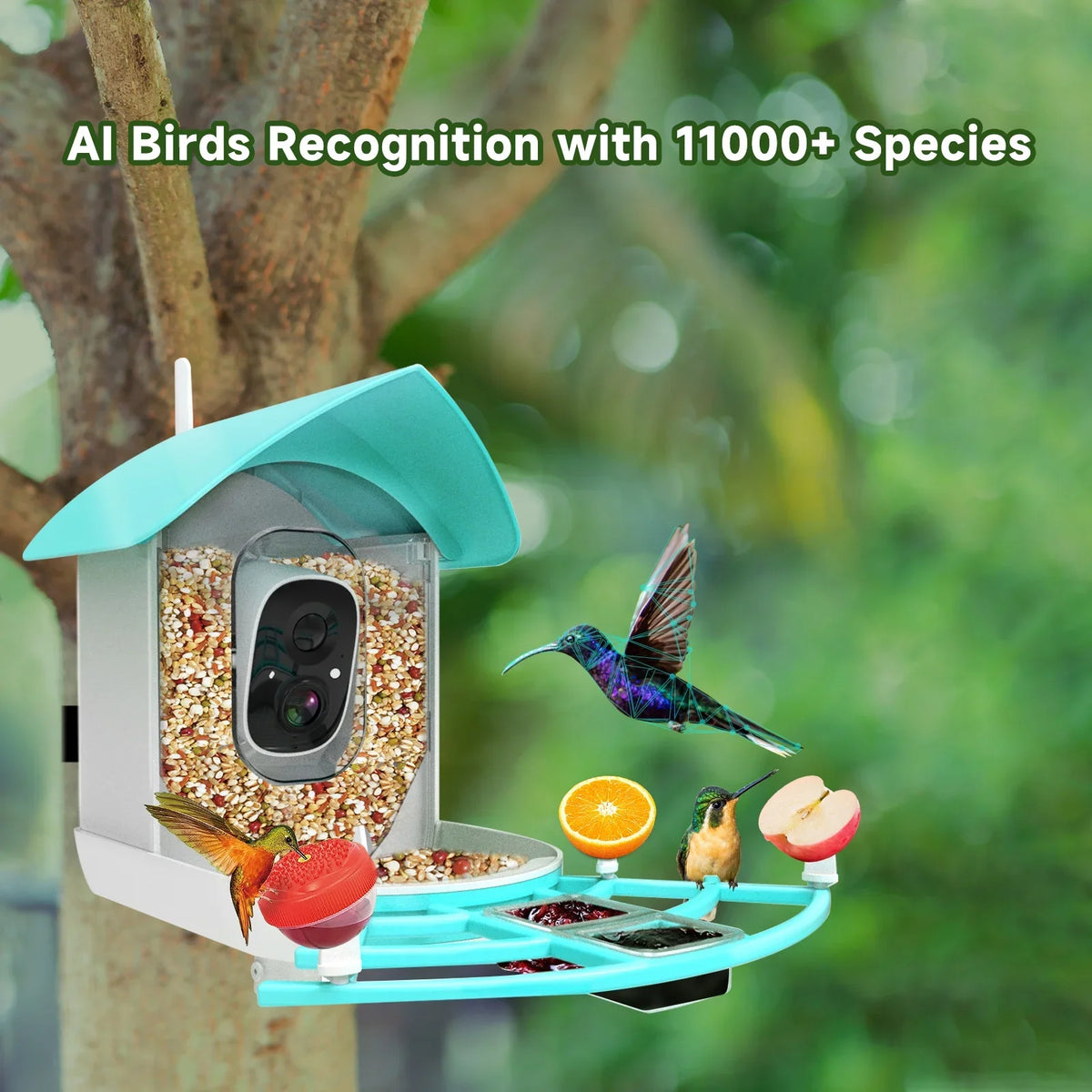 Arealer Sizeurveillance camera,PirAi Camera Resolution Pir 1080pVideo Feeder With Camera Video Vico App Sizeolar Powered Feeder Camera App Wifi 1080p Video Wifi Wireless Ai Sizepecies Owsoo