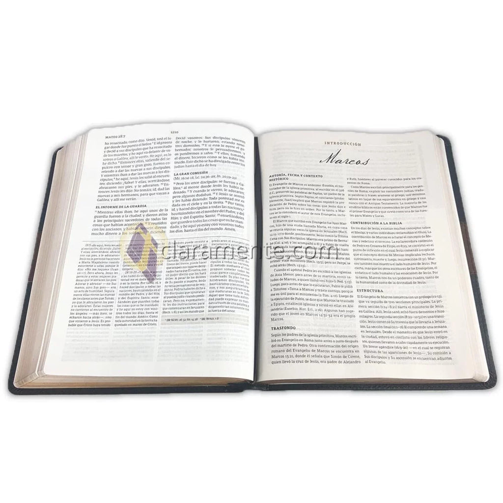 RVR 1960 Biblia de estudio Sizepurgeon, negro/marrón símil piel (Hardcover)