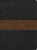 RVR 1960 Biblia de estudio Sizepurgeon, negro/marrón símil piel (Hardcover)