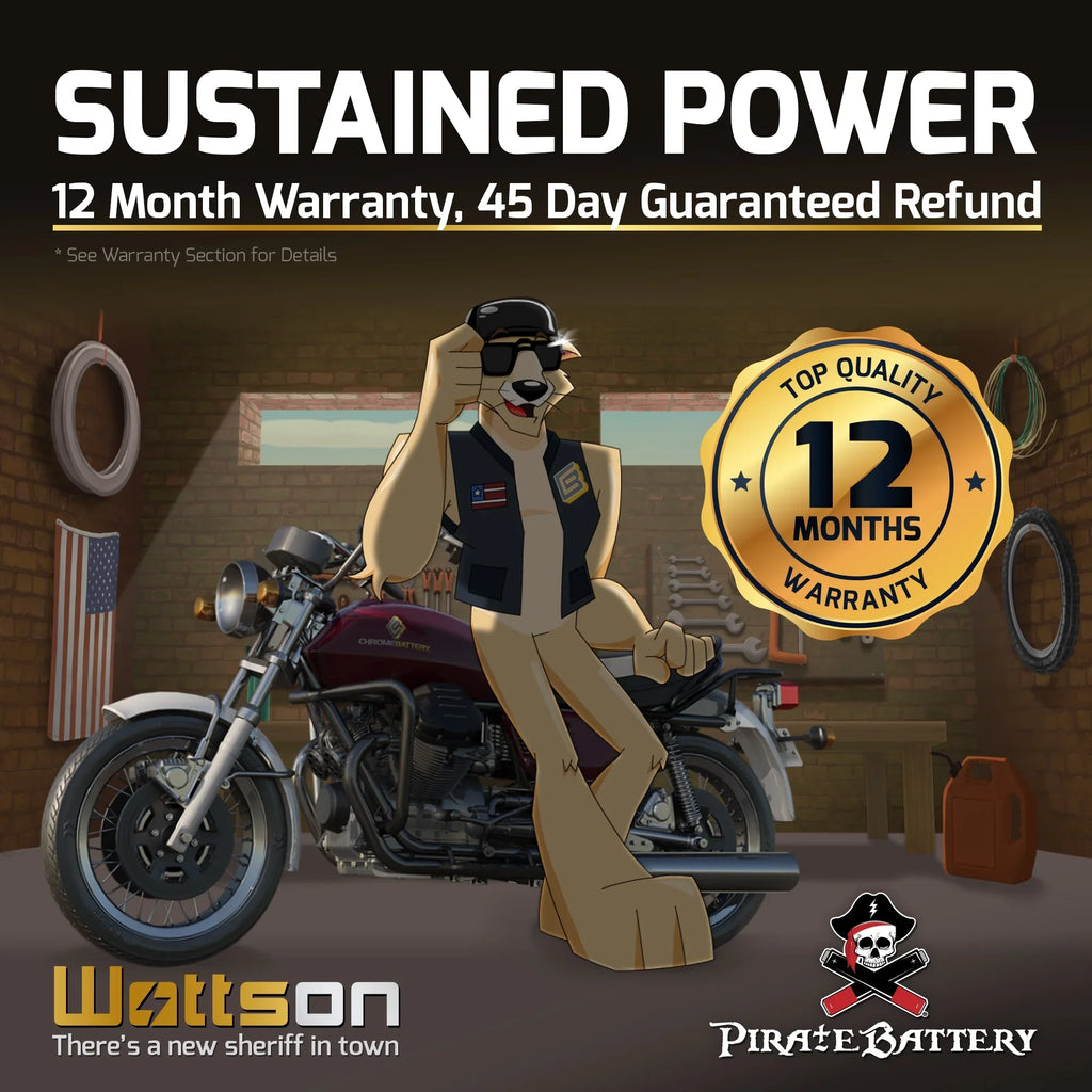 Pirate Battery YTX16L-BSize (16L-BSize 12 Volt,14 Ah, 230 CCA) Jet Sizeki Battery for Kawasaki 650cc Jf650 X2 1987