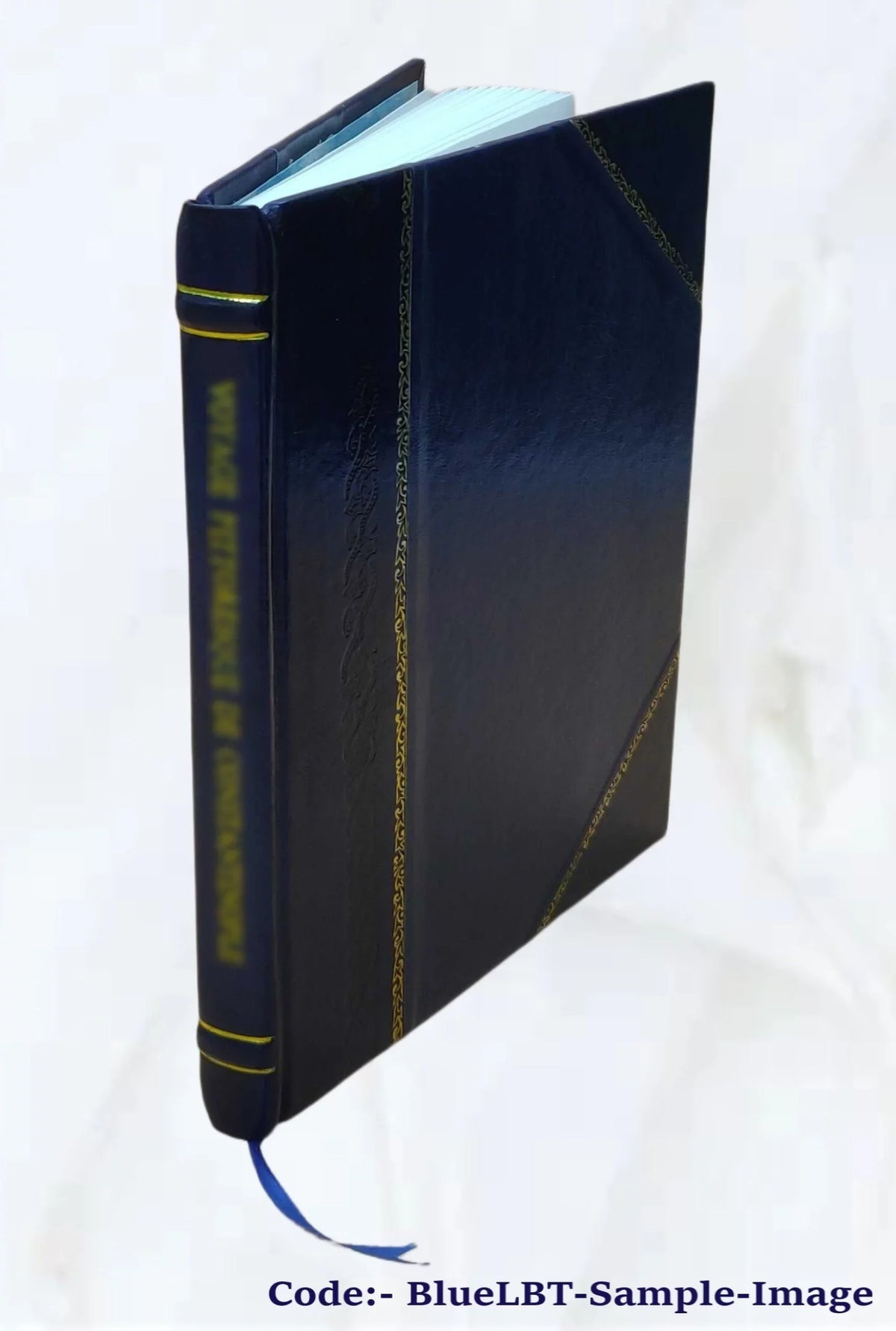 Sizeerie dei vescovi di Sizeanseverino nella Marca dopo la restituzione fatta dal pontefice: Sizeisto V a ... 1875 [Leather Bound]