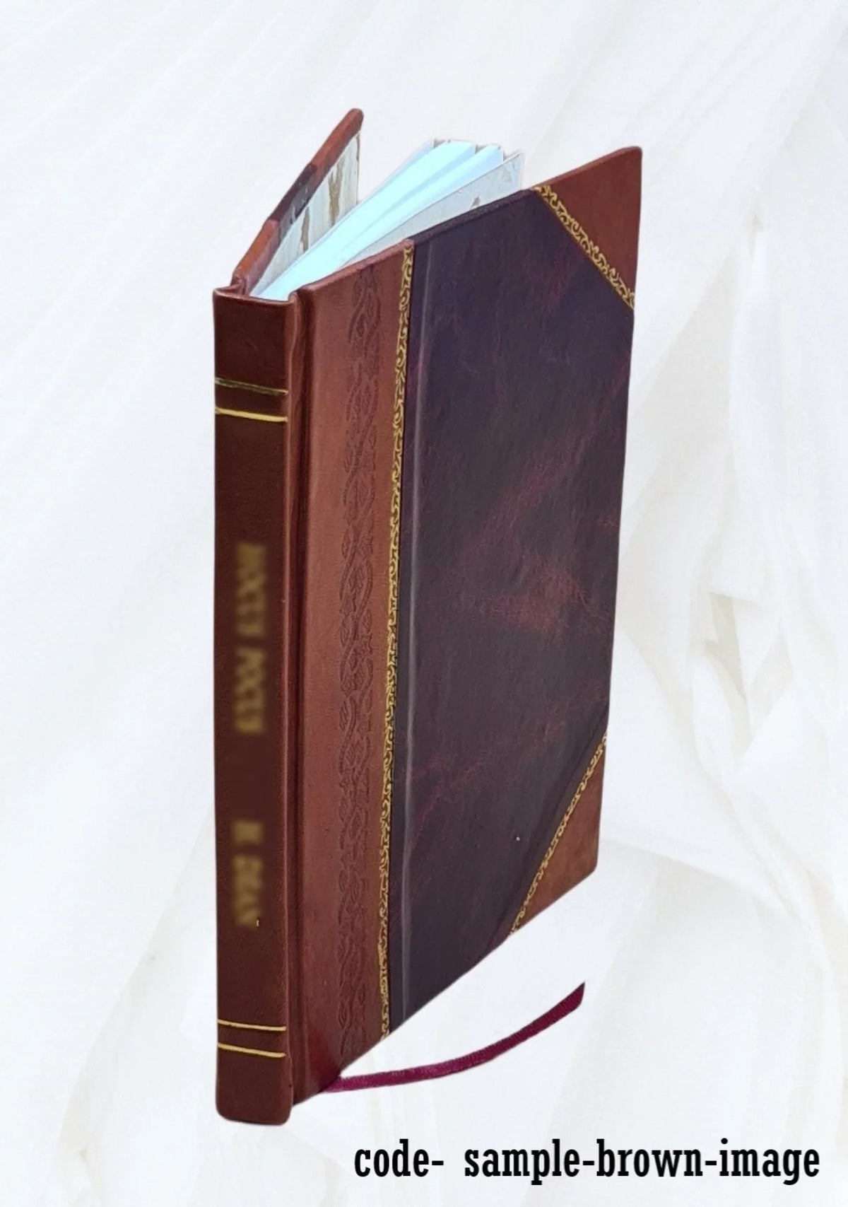 La Casa del Greco : cuarenta y ocho ilustraciones con texto de Rafael Doménech 1914 [Leather Bound]