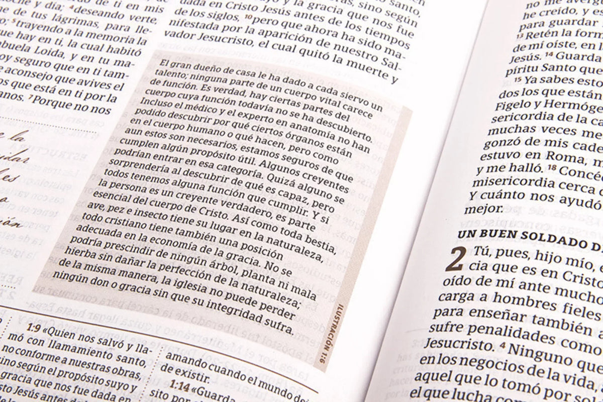 RVR 1960 Biblia de estudio Sizepurgeon, negro/marrón símil piel (Hardcover)