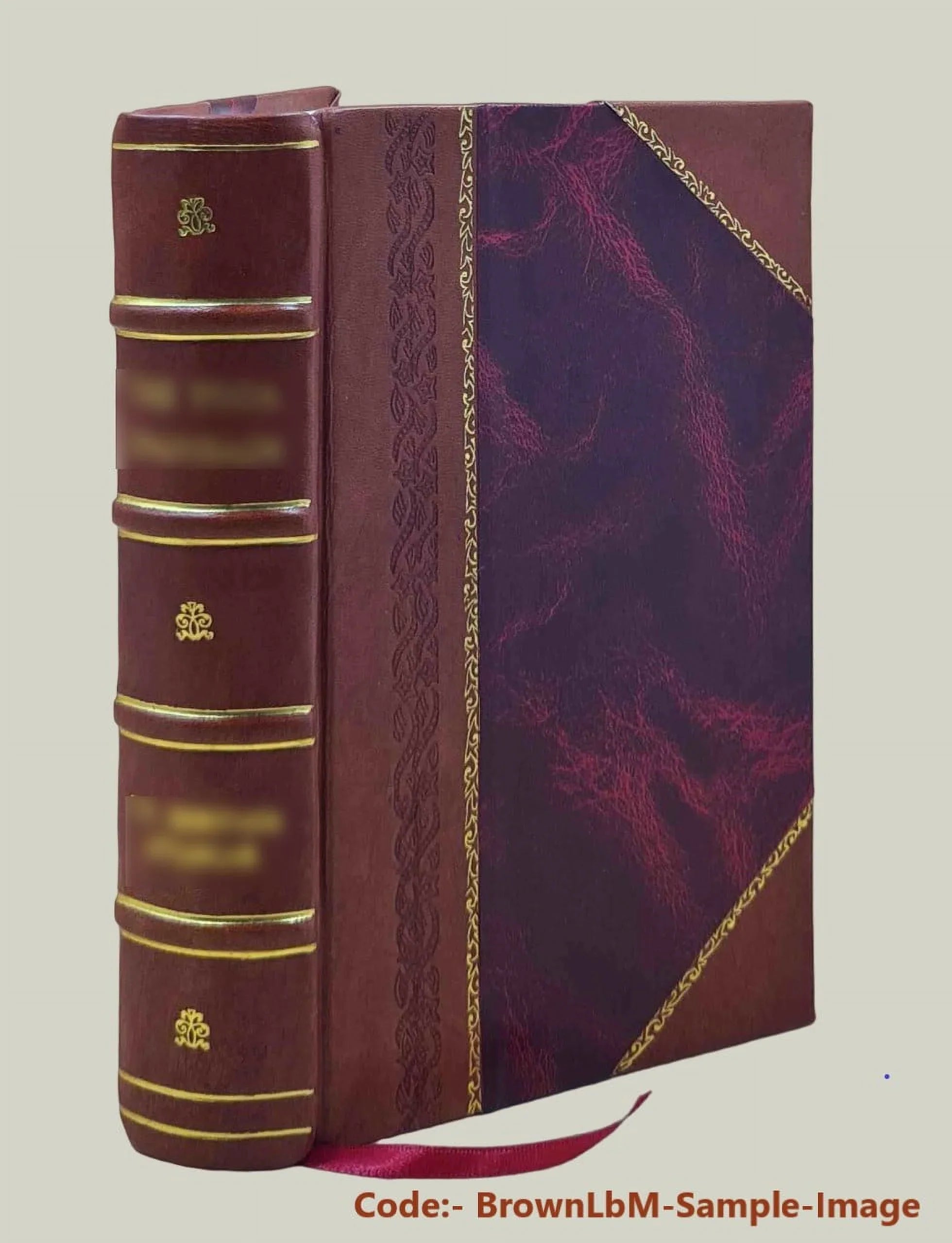 FSizeI Conversational Finnish Sizetudent Text [Leather Bound]